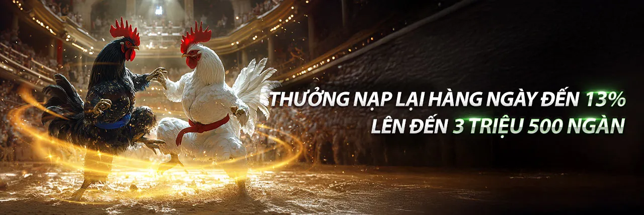 Trực Tiếp Đá Gà Ngày 28 - Sảnh Cược Kịch Tính